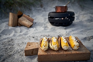 Prepara la tua cena con Aduro Fire Ball